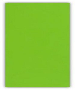 Light Green Acrylic Laminates (DW - 916) 90° Bendable Sheets