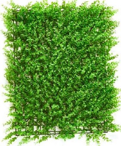 Artificial Green Wall Panels (3743 - C) Indoor